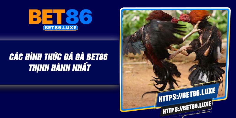 Các hình thức đá gà BET86 thịnh hành nhất