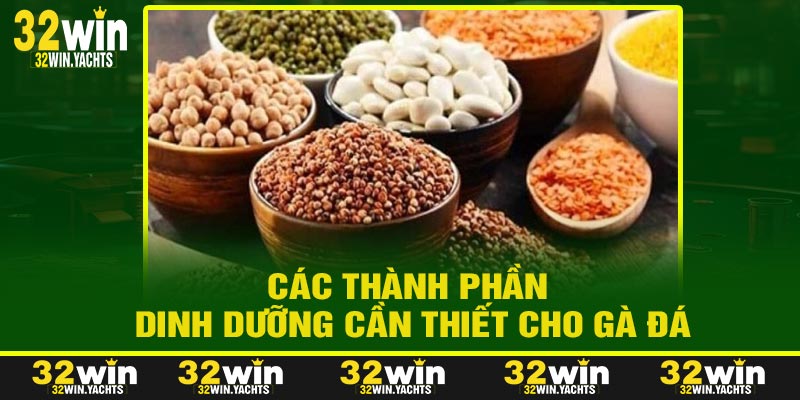 Các Thành Phần Dinh Dưỡng Cần Thiết Cho Gà Đá