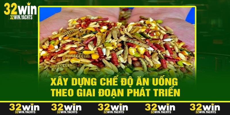 Xây Dựng Chế Độ Ăn Uống Theo Giai Đoạn Phát Triển